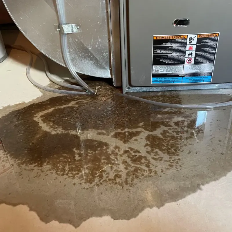Pipe Burst and Leak Restoration in Topeka, KS